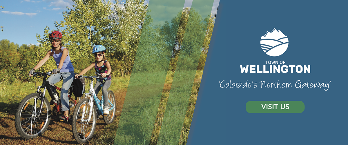 TOWN WEBSITE BANNER AD 720X300
