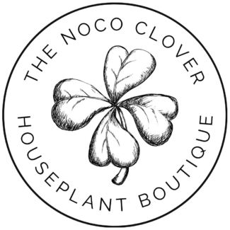 Noco Clover